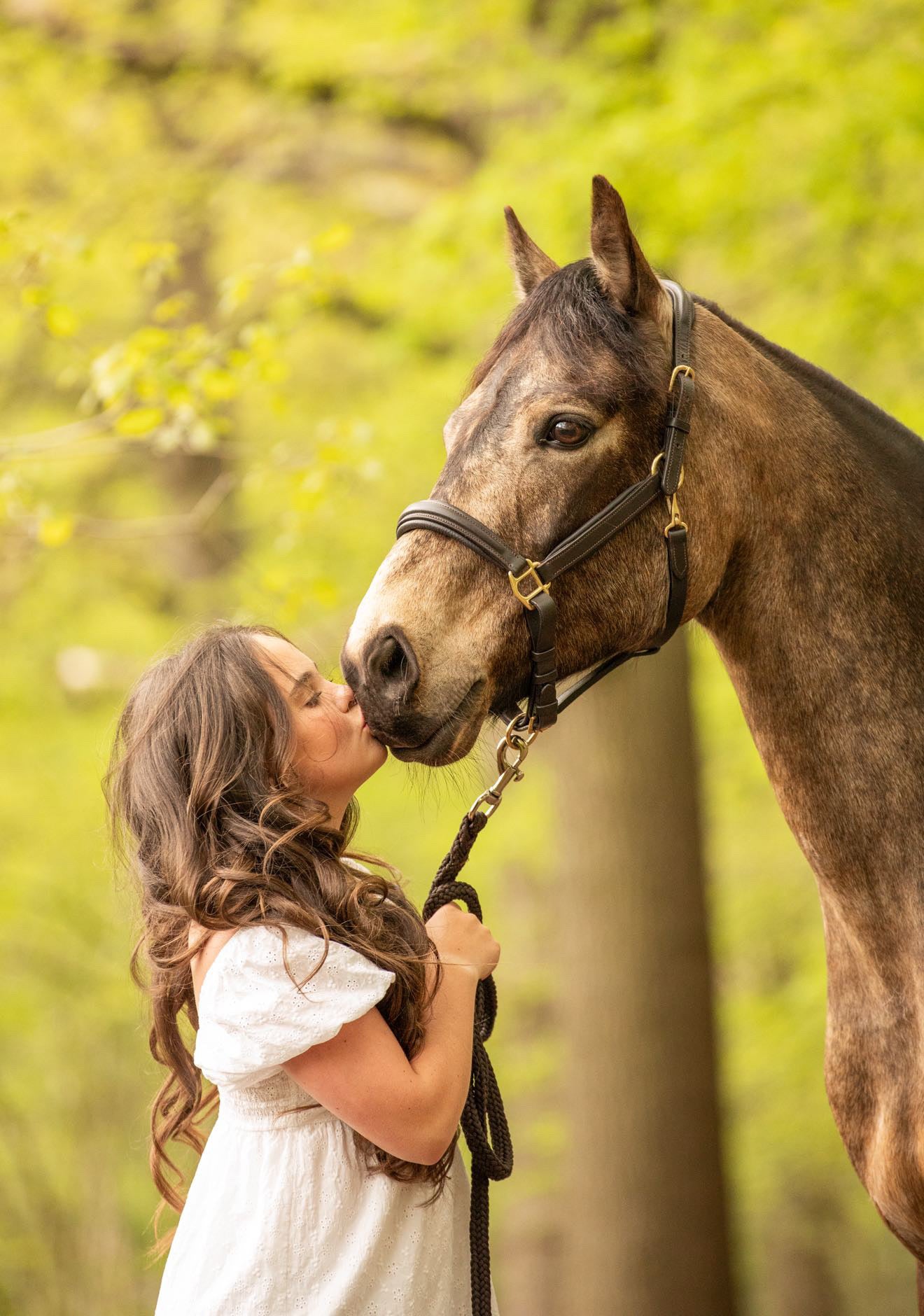 Anatomic Leather Head Collar